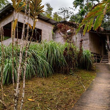 Rain Forest Inn Ringlet エクステリア 写真