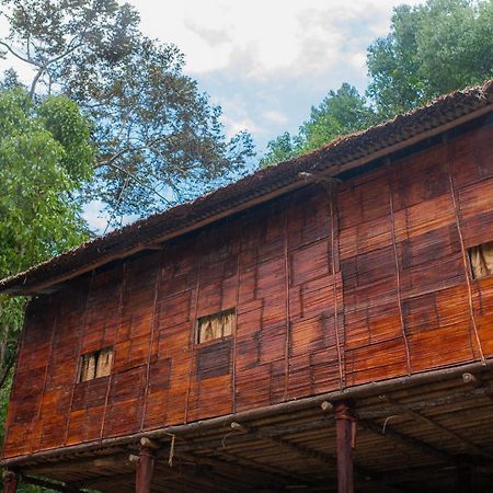 Rain Forest Inn Ringlet エクステリア 写真