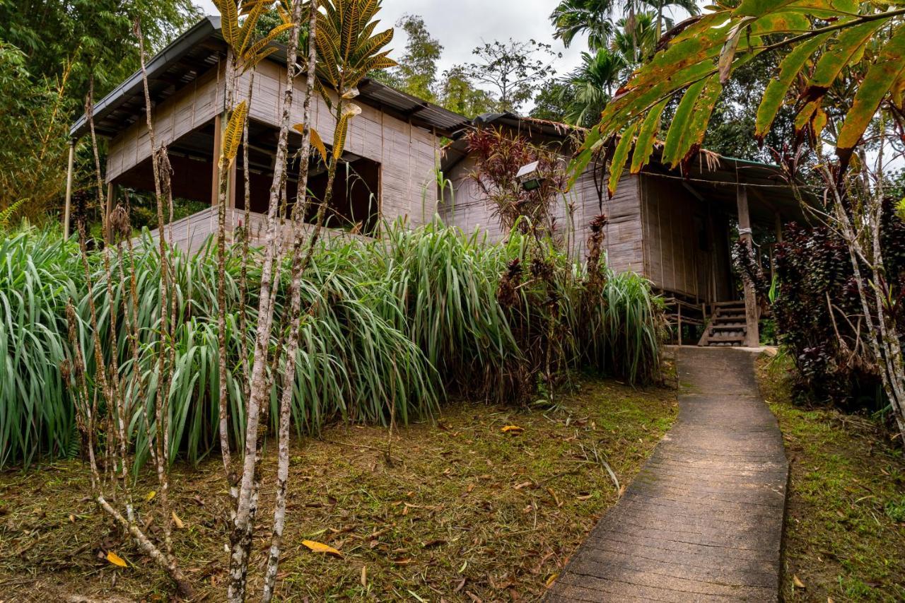Rain Forest Inn Ringlet エクステリア 写真