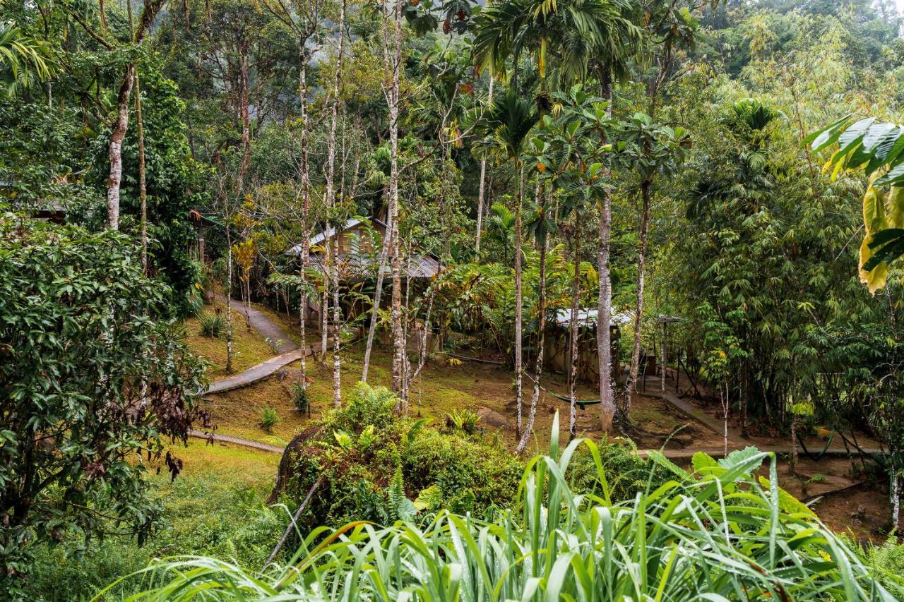 Rain Forest Inn Ringlet エクステリア 写真