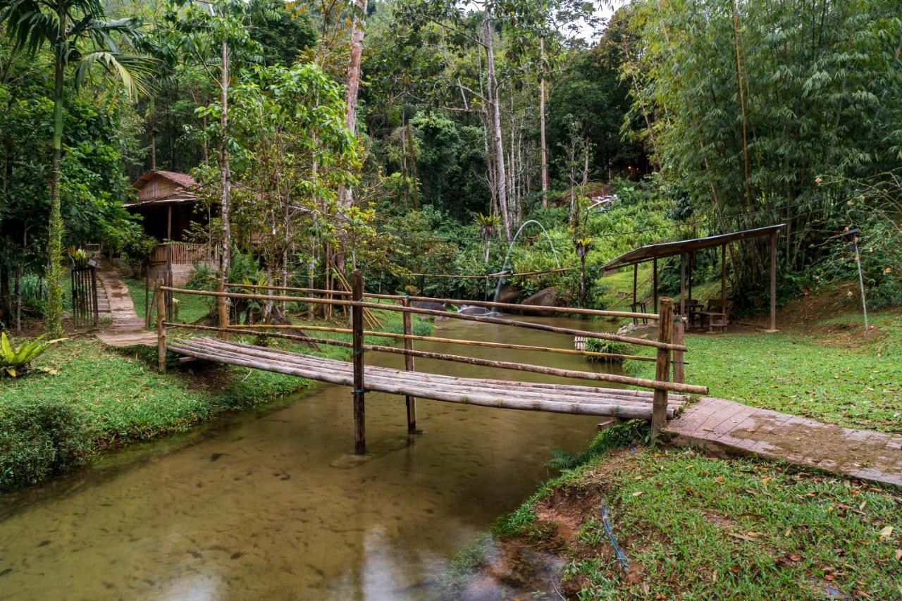 Rain Forest Inn Ringlet エクステリア 写真