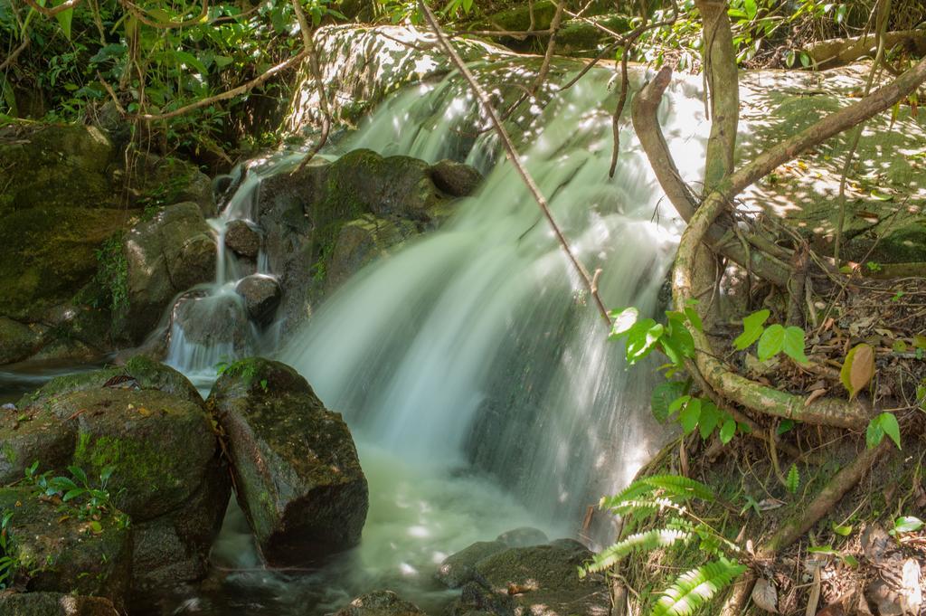 Rain Forest Inn Ringlet エクステリア 写真