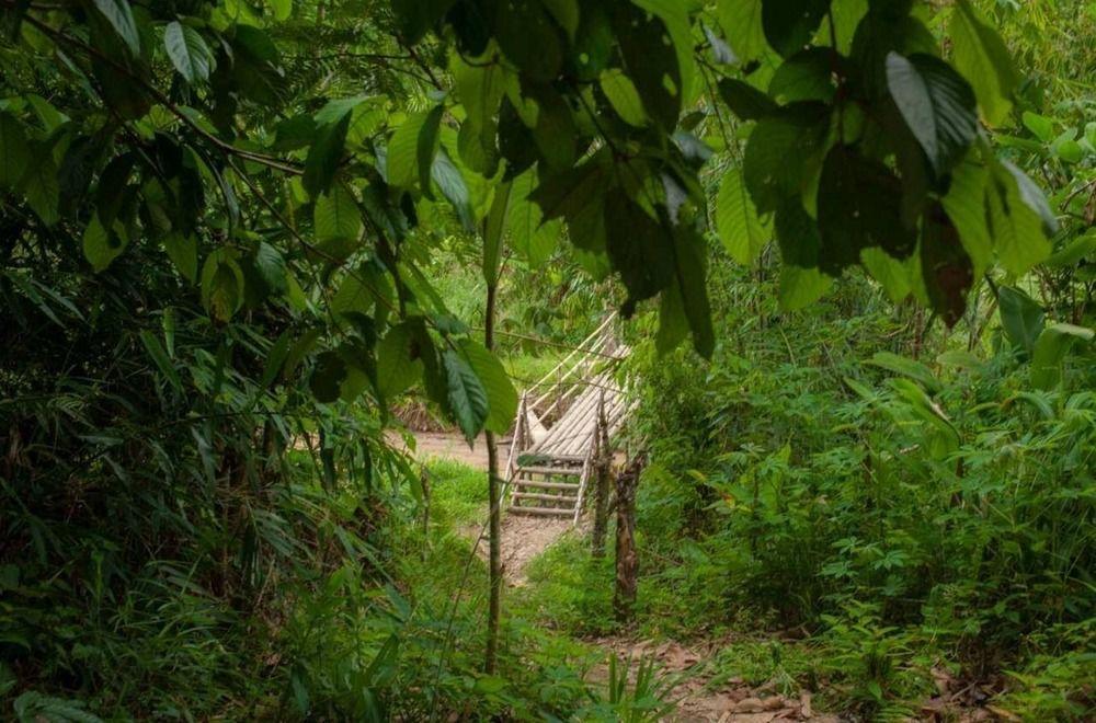 Rain Forest Inn Ringlet エクステリア 写真